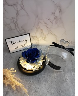 Thinking of you, R&G07 Thinking of you, R&G07